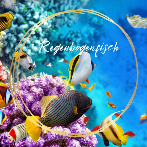 Regenbogenfisch - Theatercamp in den Osterferien von Montag den 17.04.2023 bis Mittwoch den 19.04.2023